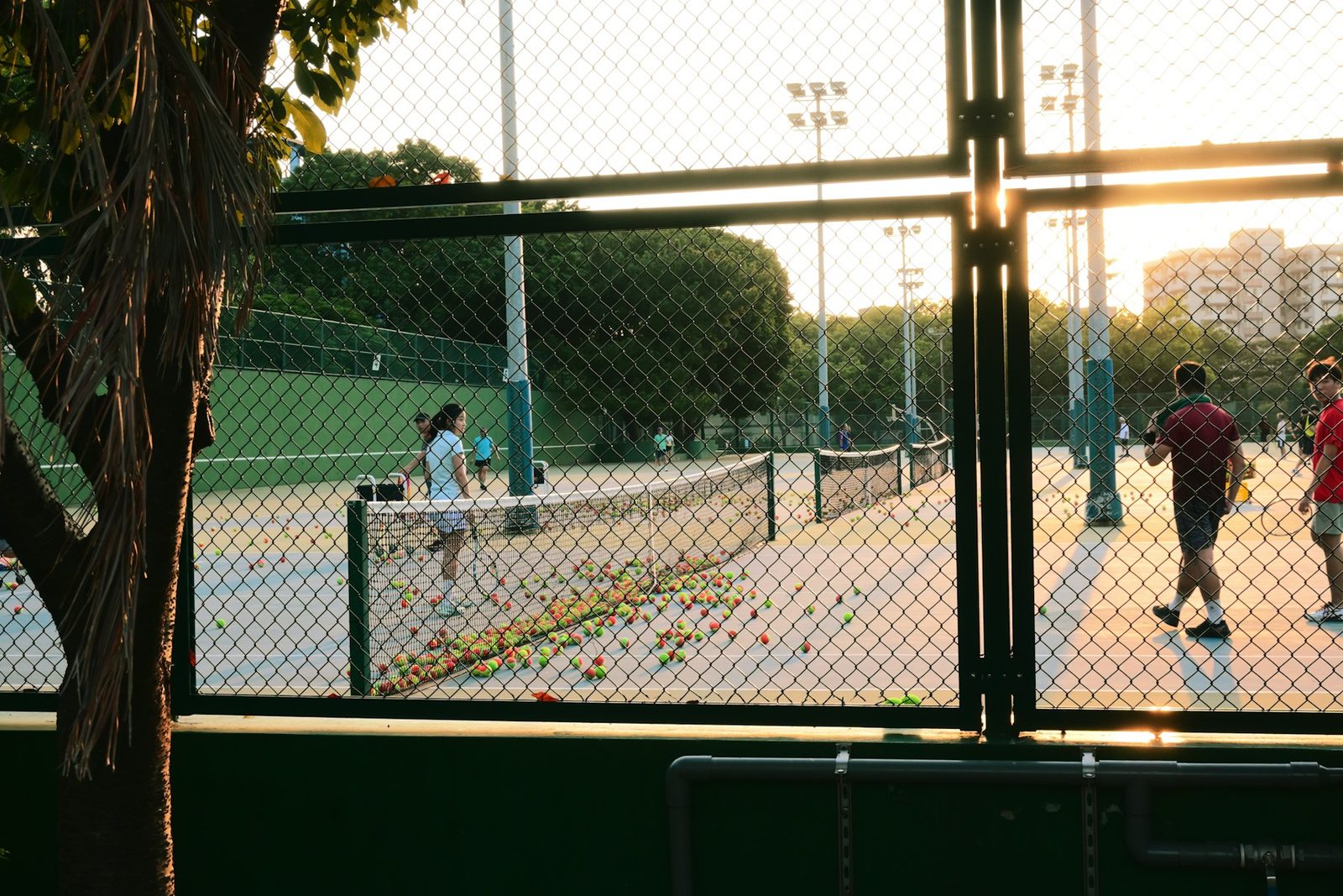 The Health Benefits of Tennis: What the Research Shows